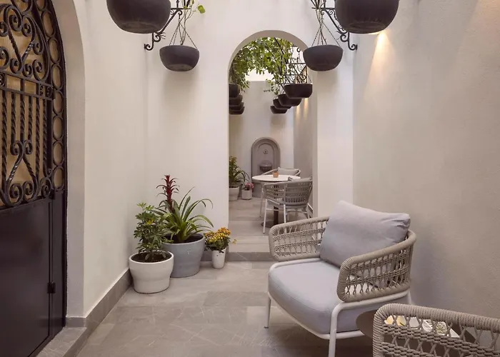 Hotel Casa Cleo By Viadora Mexico City